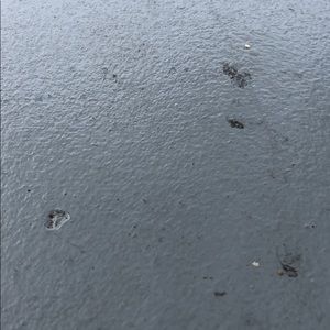 Meet your Posher, Manny